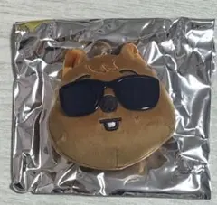straykids run it ランダムフェイスキーリング HANQUOKKA