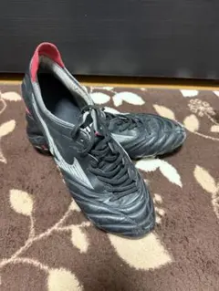 モレリアネオ4