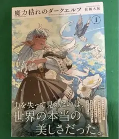 魔力枯れのダークエルフ 1巻 板橋大祐 - メルカリ