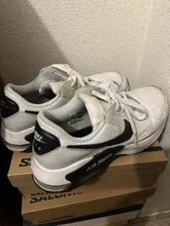 Nike Air Max ホワイト/ブラック　28センチ