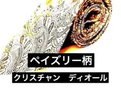 クリスチャン ディオール ペイズリー柄 シルク100% ネクタイ