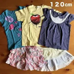 にゃんころがし様 リクエスト 2点 まとめ商品