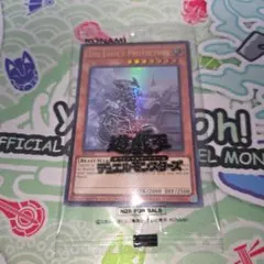 遊戯王 日本選手権2026 プロモ The Lady's Protectors - メルカリ