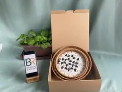 Item thumbnail for item e68e6482-7df1-410c-bcf3-17a99efa4f84