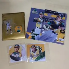 Item thumbnail for item fc8ab454-3c7f-4dc6-9789-b1dec4115a17