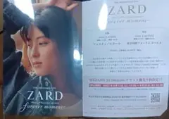 ZARD坂井泉水