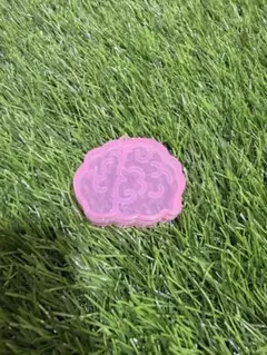 おくすりケース　脳　ガチャガチャ