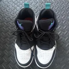 NIKE JORDAN スニーカー ブラック ホワイト 25.5cmのサムネイル