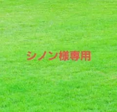 シノン様 リクエスト 10点 まとめ商品