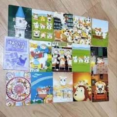 はむたろっとカード TCG研究】とっとこハム太郎 はむたろっとカード開封&考察なのだ