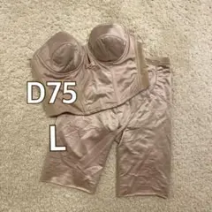 【トリートドレッシング】ブライダルインナー 上下セット D75 Lサイズ