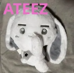 ATEEZ ライトスティックドールバッグ シルバニ ぬいぐるみ ソンファ