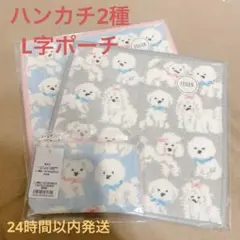 フェイラー　モフモフワンチャン3点セット