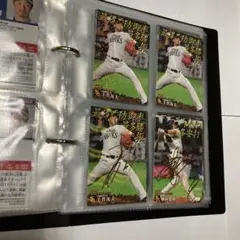 新品未使用ファイル付き　２０２１プロ野球チップスカード　第一弾　合計２０３枚