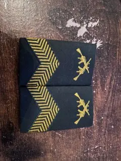 中国人民解放軍陸軍と人民武装警察襟章 領章 階級章 セット - メルカリ