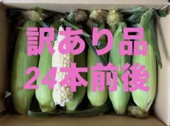 100サイズ　茨城県産　とうもろこし　ホイップコーン　訳あり品　順次発送のサムネイル