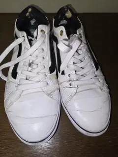 Item thumbnail for item 0f4483ab-3506-418e-9b19-33bd60ae3dc7