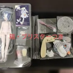 変身電気街 ニート 特典付き ブラインドドールBJD 変身電気街 - メルカリ