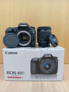キャノン EOS 70D◎スマホ転送OK◎一眼レフカメラ◎ショット数少