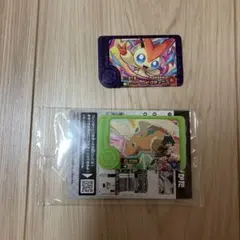 ポケモンフレンダピック ビクティニ&スペシャルカイリュー
