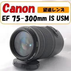 2026年最新】EF 75-300mm F4-5.6 isの人気アイテム - メルカリ