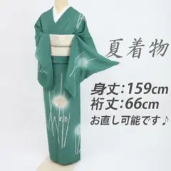 絽ちりめん 縮緬 絽 小紋柄 絞り サイズS 適応身長145〜152センチ 着物 