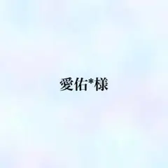 愛佑*様 リクエスト 2点 まとめ商品