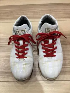 Item thumbnail for item 3eb67b65-f58e-4774-9475-db66a3f18c03