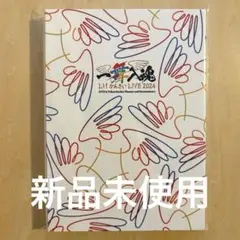 Lil かんさい　一舞入魂　LIVE DVD ジュニア Official Website