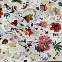 Item thumbnail for item 5d738fda-903f-43ec-9490-06c7d23b12cd