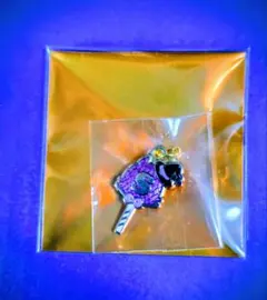 志麻　2025ハロパ　購入特典　ランダムモチーフチャーム　まぁるちゃん1個