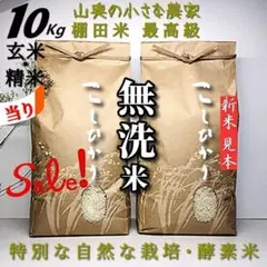 【　Sale❗️無洗米・標準白米とも５キロが２個　】コシヒカリ　発ガン性農薬不使用のサムネイル