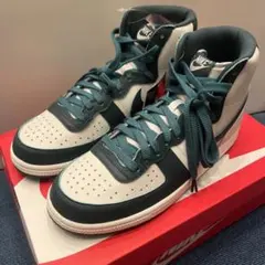 新品 NIKE TERMINATOR HIGH ターミネーターグリーン 27.5