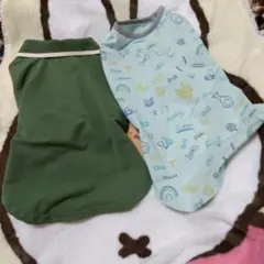 Item thumbnail for item 3dd59438-f454-4efa-9a59-9429ede6bfad