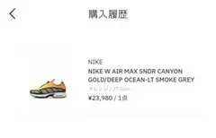 NIKE W AIR MAX SNDR CANYON 27.0cm