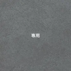 専用です