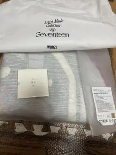 Item thumbnail for item 56c29f3d-f9ec-41d3-8f57-75ad2d1e8310