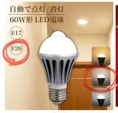 人感センサー　LED電球 60W相当 自然色 4000K E26
