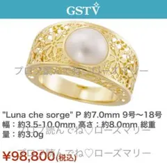 2025年最新】フィリグラーナ gstvの人気アイテム - メルカリ