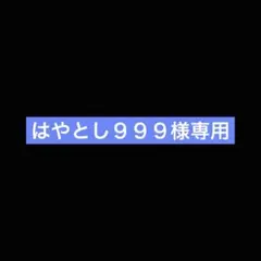はやとし９９９様専用のサムネイル