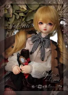 2026年最新】シャルロッテ スーパードルフィーの人気アイテム - メルカリ