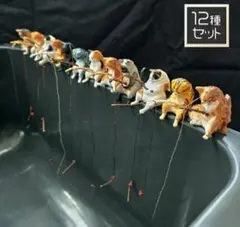 釣り日和　12種コンプリートセット
