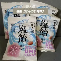 榮太樓　塩飴《ほんのり梅味》×4　暑い日の塩分補給に✨のサムネイル