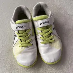 Item thumbnail for item 64adecc0-339c-40d1-8f70-5a5926ef514b