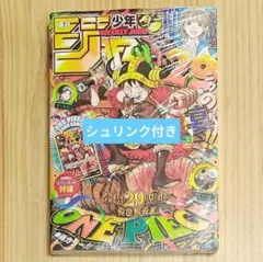 シュリンク付新品未開封 ワンピースマガジン20号 ルフィ プロモカード