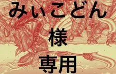 みぃこどん様専用