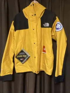 THE NORTH FACE GORE-TEX マウンテンジャケット