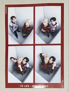 ONE N' ONLY TVLIFE アマゾニアカード REI HAYATO