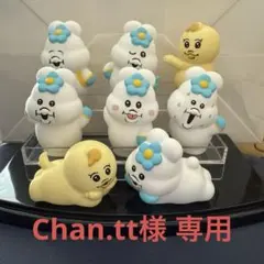 Chan.tt様専用