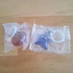 めじるしアクセサリー　トマト(オレンジ)　&　ヒトデ